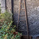 Nid Douillet Annecy