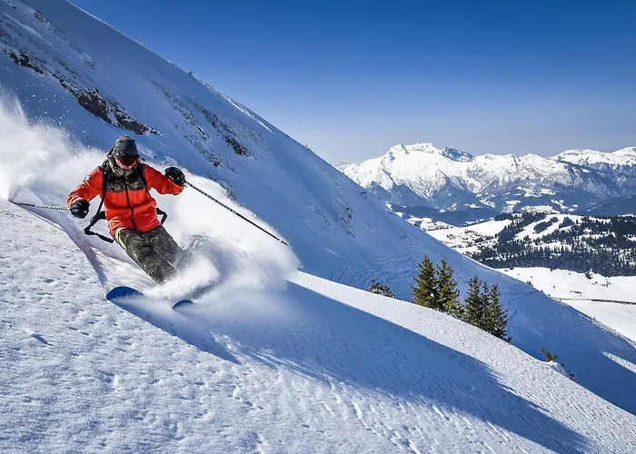 Bed and breakfast Nid Douillet Annecy